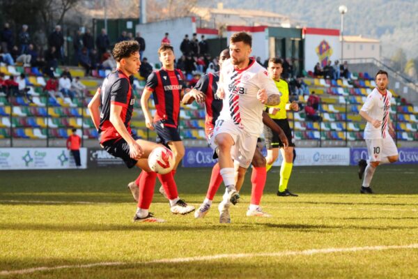 narnese montecchio gallo