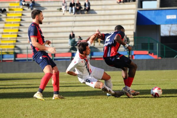 narnese e.rossi e perugini