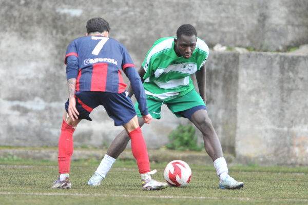 narnese olympia thyrus dic. 25